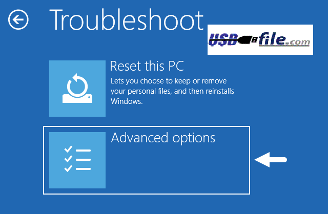 Windows Troubleshoot Advanced Options